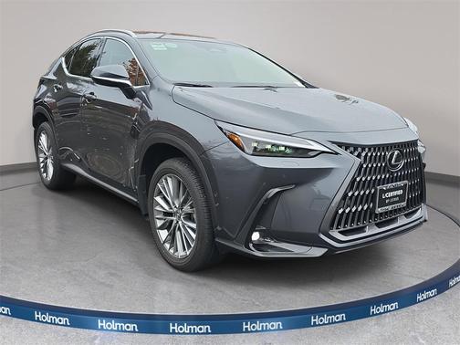 2025 Lexus NX 350h Luxury