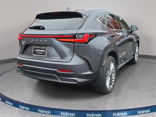 2025 Lexus NX 350h Luxury