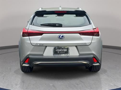 2019 Lexus UX 250h F Sport