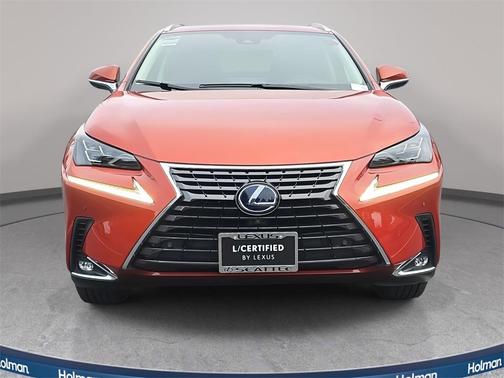 2020 Lexus NX 300h 300h Luxury