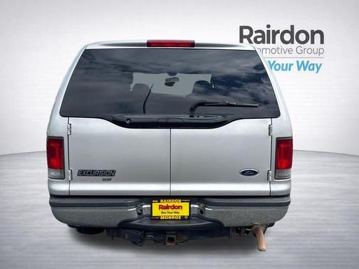 Silver Birch Clearcoat Metallic 2004 Ford Excursion XLT