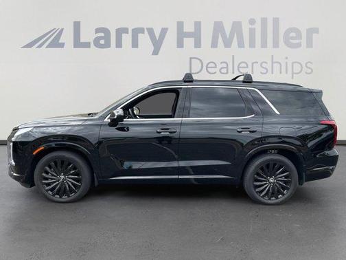 Abyss Black Pearl 2025 Hyundai PALISADE Calligraphy Night Edition