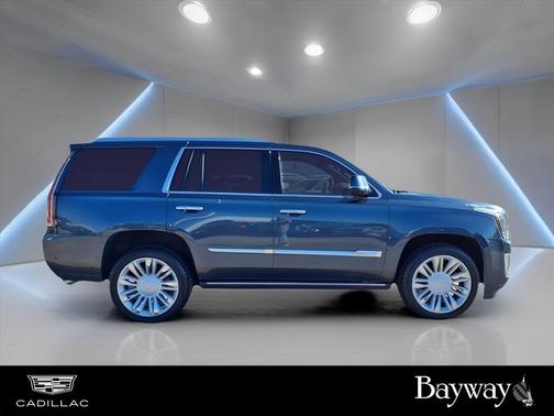 2019 Cadillac Escalade Platinum