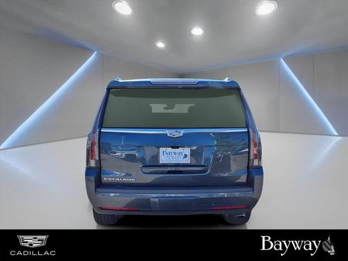 2019 Cadillac Escalade Platinum