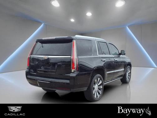 Black Raven 2020 Cadillac Escalade Platinum