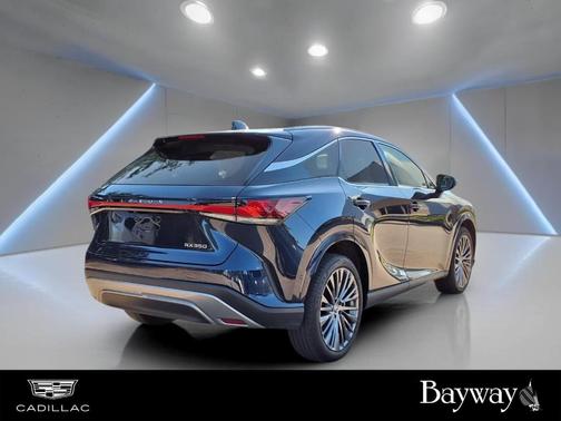 Mica 2024 Lexus RX 350 Luxury