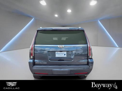 2019 Cadillac Escalade ESV Luxury