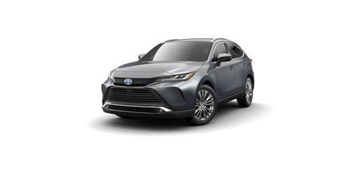 2024 Toyota Venza XLE