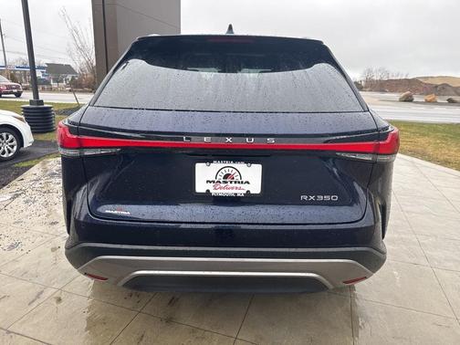 2023 Lexus RX 350 Luxury