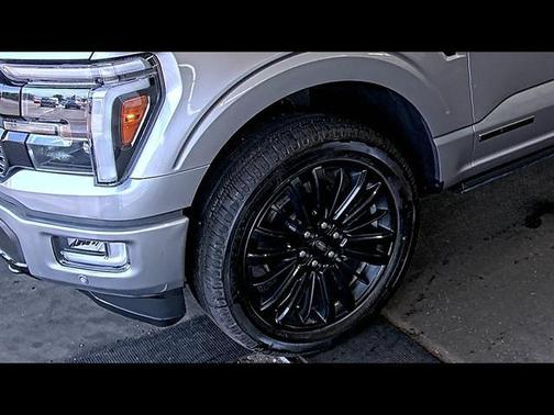 Iconic Silver 2025 Ford F-150 Platinum