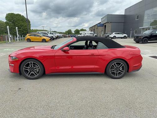 Race Red 2019 Ford Mustang EcoBoost Premium