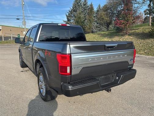 2019 Ford F-150 Platinum