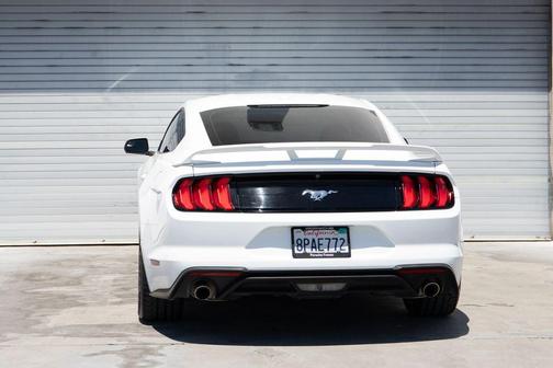Oxford White 2019 Ford Mustang EcoBoost
