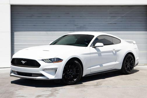 Oxford White 2019 Ford Mustang EcoBoost