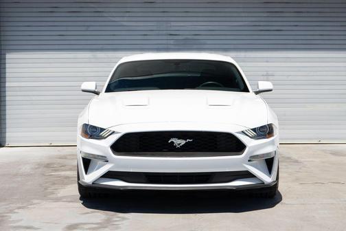 Oxford White 2019 Ford Mustang EcoBoost