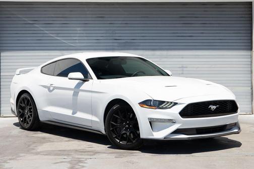 Oxford White 2019 Ford Mustang EcoBoost
