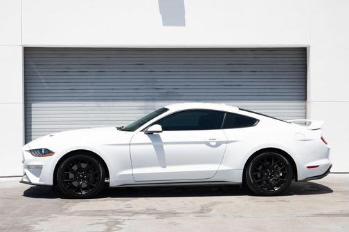 Oxford White 2019 Ford Mustang EcoBoost