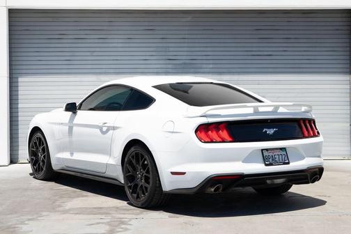 Oxford White 2019 Ford Mustang EcoBoost