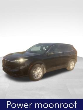 Blue 2024 Honda CR-V EX-L