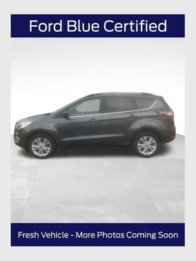 Magnetic 2018 Ford Escape SE