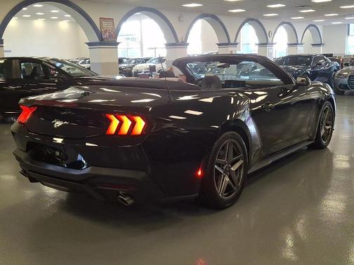 Shadow Black 2025 Ford Mustang EcoBoost
