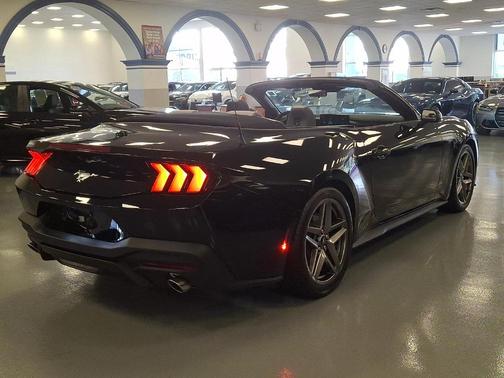 Shadow Black 2025 Ford Mustang EcoBoost