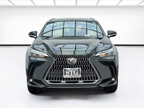 2024 Lexus NX 350h Premium