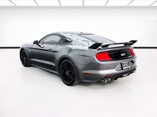 Magnetic 2019 Ford Mustang GT