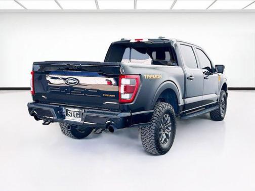 Agate Black Metallic 2022 Ford F-150 Tremor