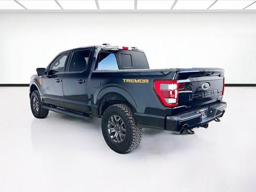 Agate Black Metallic 2022 Ford F-150 Tremor