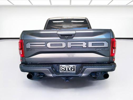 Magnetic 2020 Ford F-150 Raptor