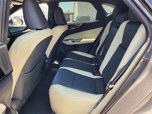 2024 Lexus NX 250 Base