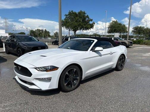 2019 Ford Mustang EcoBoost