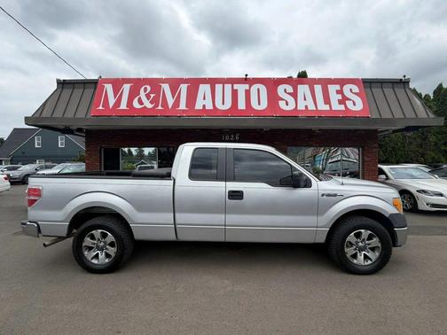 Ingot Silver 2010 Ford F-150 XL