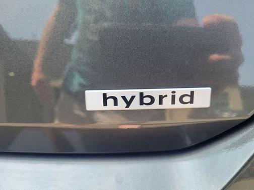 Amazon Gray 2026 Hyundai ELANTRA HEV Limited