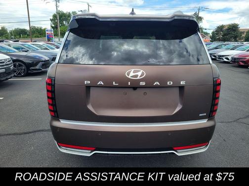 Earthy Brass Matte 2026 Hyundai PALISADE Calligraphy