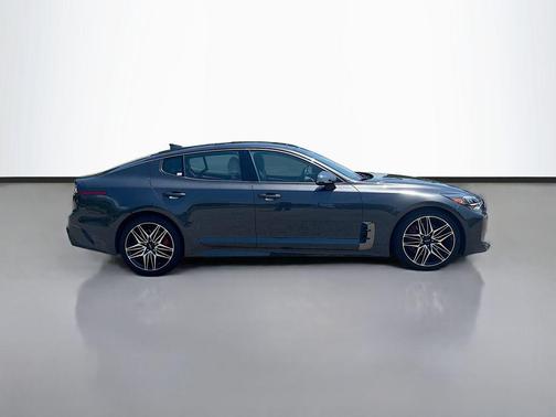 Panthera Metal 2022 Kia Stinger GT1