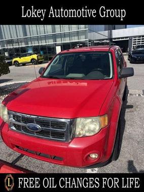 Torch Red Clearcoat 2009 Ford Escape XLT