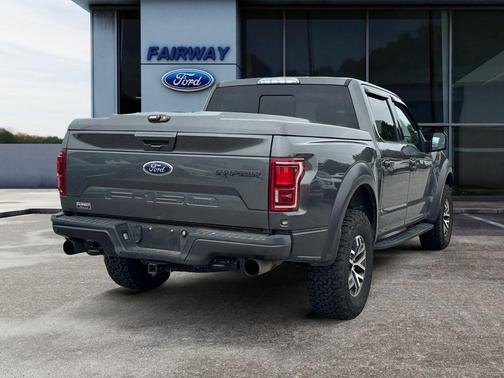 Magnetic Metallic 2018 Ford F-150 Raptor