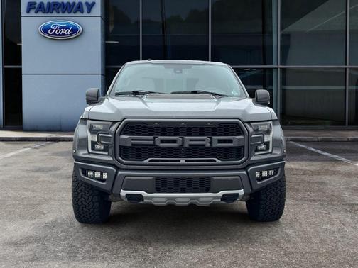 Magnetic Metallic 2018 Ford F-150 Raptor