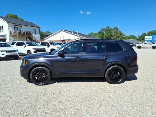 Panthera Metal 2025 Kia Telluride SX Prestige X-Line