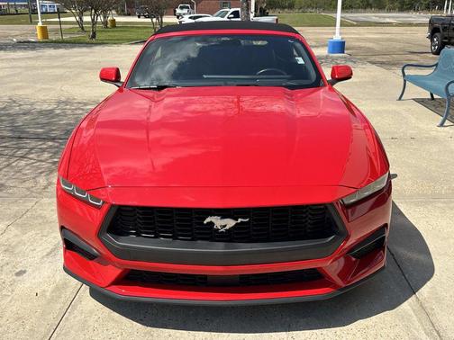 Race Red 2025 Ford Mustang EcoBoost Premium