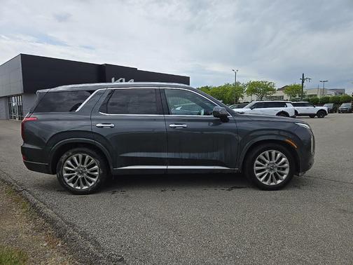 Rainforest 2020 Hyundai PALISADE Limited