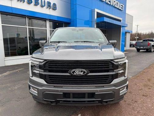 Gray Metallic 2025 Ford F-150 Platinum