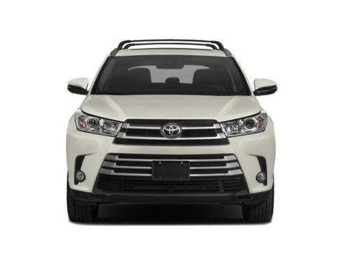 Blizzard Pearl 2019 Toyota Highlander XLE