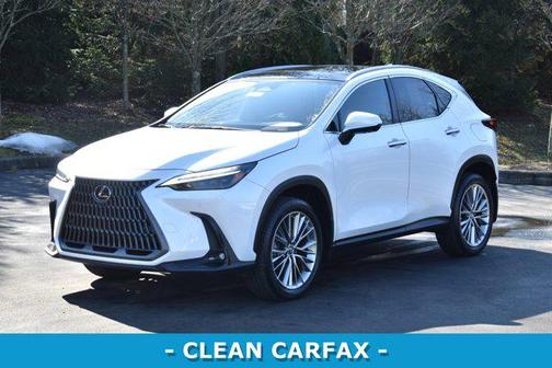 2023 Lexus NX 350 Luxury