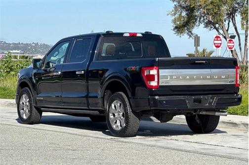 2021 Ford F-150 Platinum