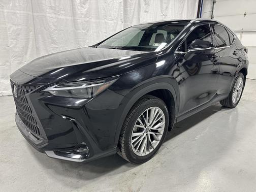 2024 Lexus NX 350h Luxury