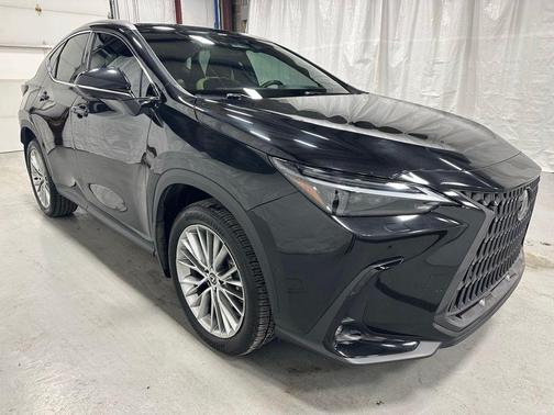 2024 Lexus NX 350h Luxury
