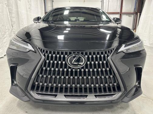 2024 Lexus NX 350h Luxury